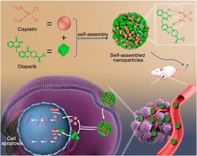 Enhanced cisplatin chemotherapy sensitivity by self-assembled nanoparticles with Olaparib